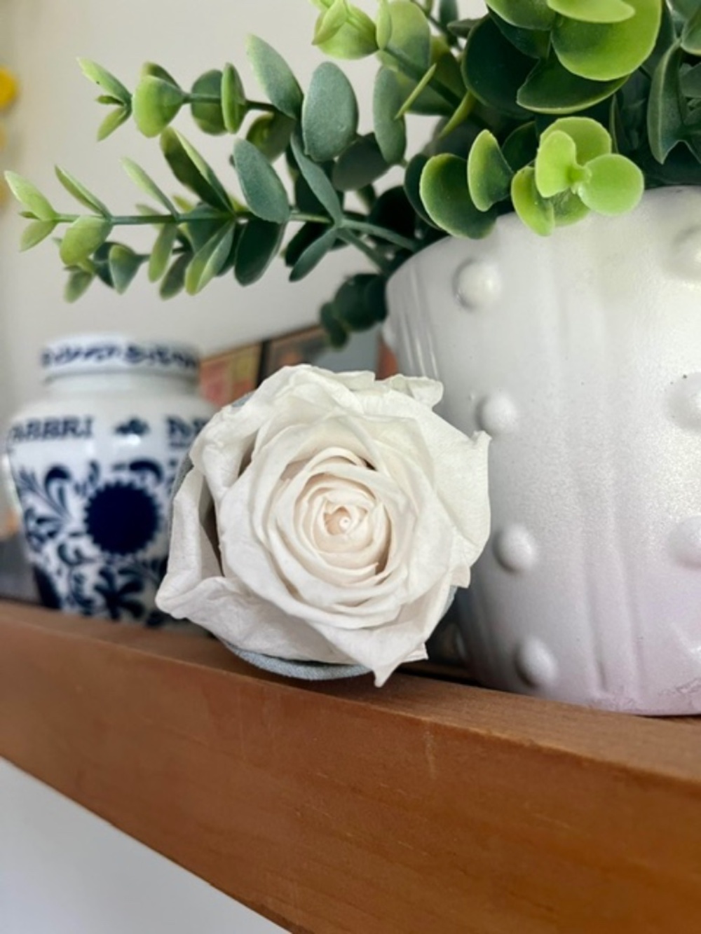 Venus Et Fleur Le Petit Single Rose - White